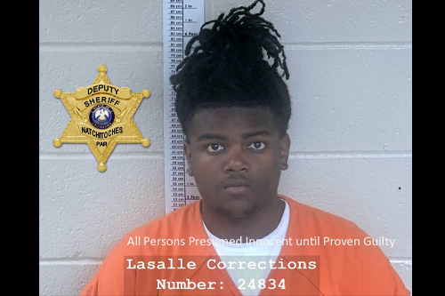 Traffic stop results in stolen firearm recovery | Natchitoches Parish ...
