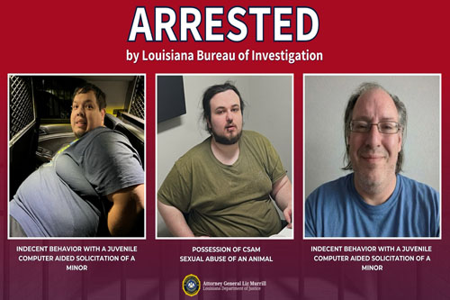 Joint operation leads to multiple arrests for online child exploitation ...